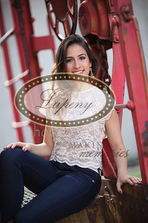 Lupeny Photography (32 of 140)