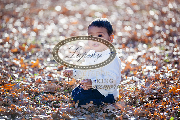 Lupeny Photography   (24 of 109)