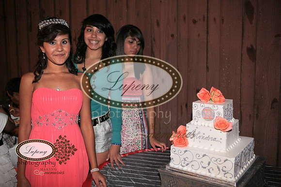 © Lupeny Photography-223