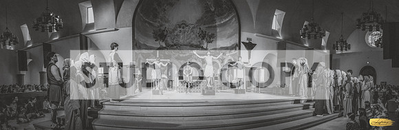 Lupeny photopgraphy--10