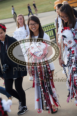 Lupeny Photography (16 of 584)
