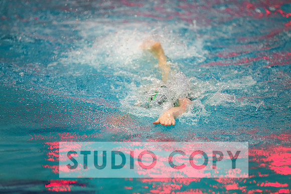 Lupeny Photography -0657